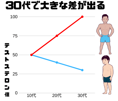 テストステロンの減少と増加の差は大きい