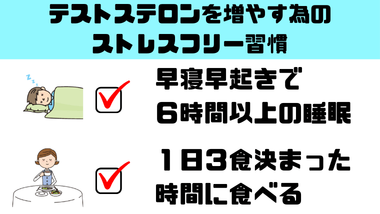 テストステロンを増やす為のストレスフリー習慣